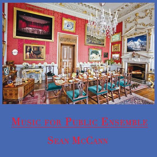 Sean Mccann - Music For Public Ensemble (2 LP) - Joco Records