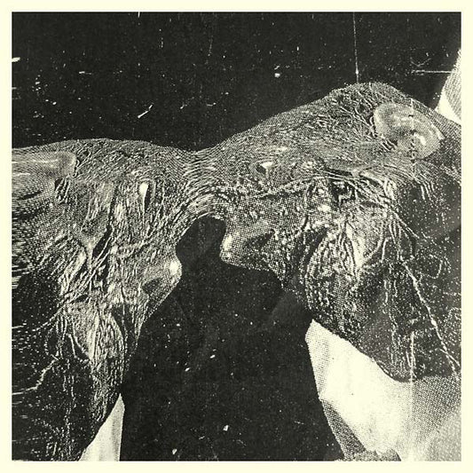 Secret Boyfriend - Memory Care Unit (LP) - Joco Records
