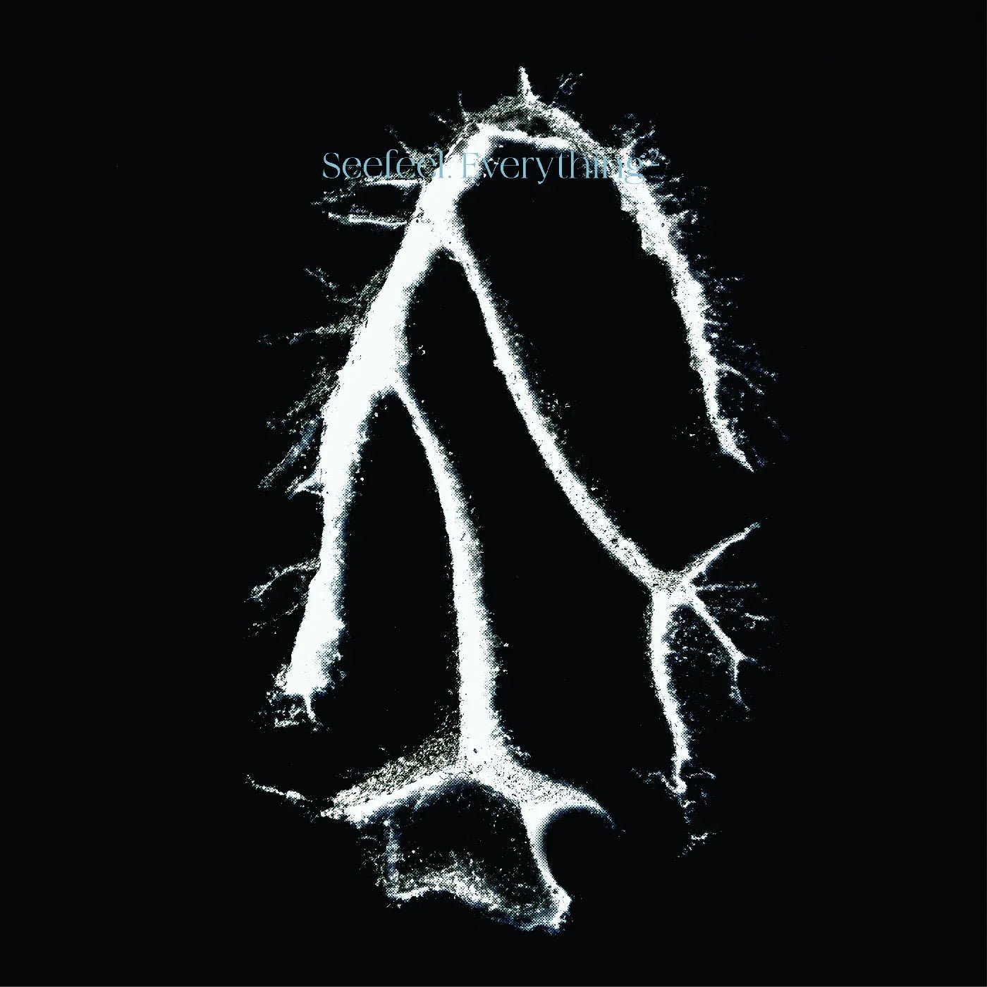 Seefeel - Everything Squared (LP) - Joco Records