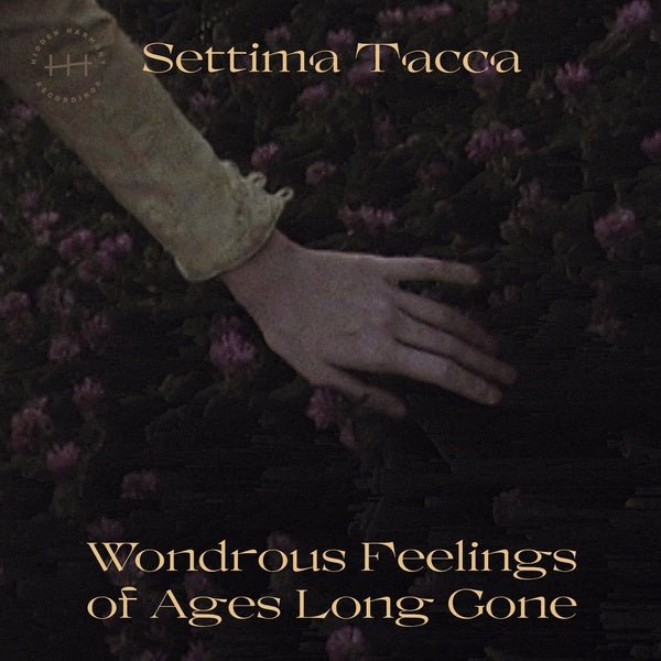 Settima Tacca - Wondrous Feelings Of Ages Long Gone (LP) - Joco Records