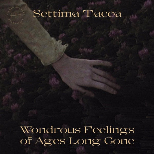 Settima Tacca - Wondrous Feelings Of Ages Long Gone (LP) - Joco Records