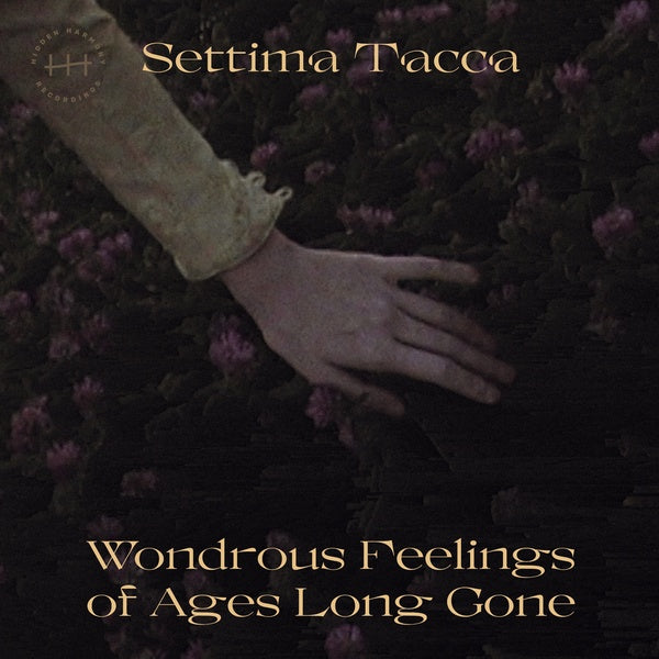 SETTIMA TACCA - Wondrous Feelings of Ages Long Gone