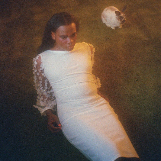 Shamir - Ten (Tangerine Vinyl)