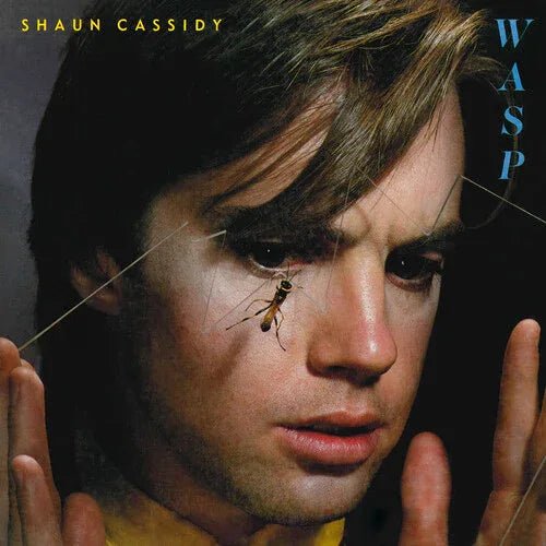 Shaun Cassidy - WASP (Limited Edition, Opaque Bright Yellow Vinyl) - Joco Records