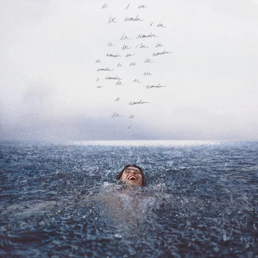 Shawn Mendes - Wonder (LP) - Joco Records