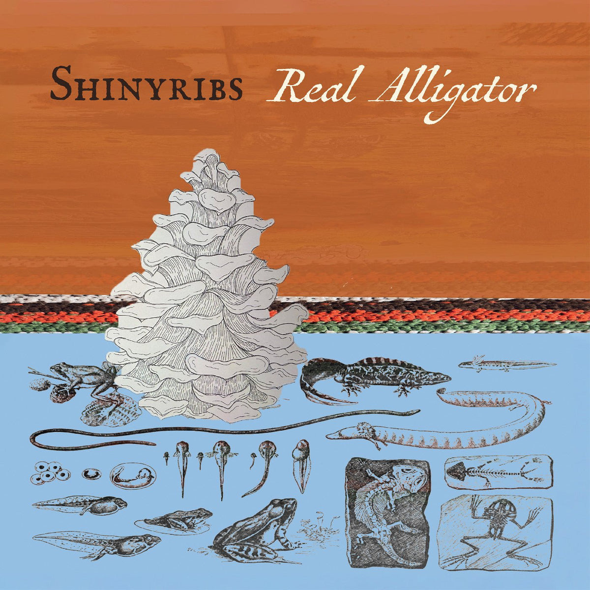 Shinyribs - Real Alligator - Joco Records
