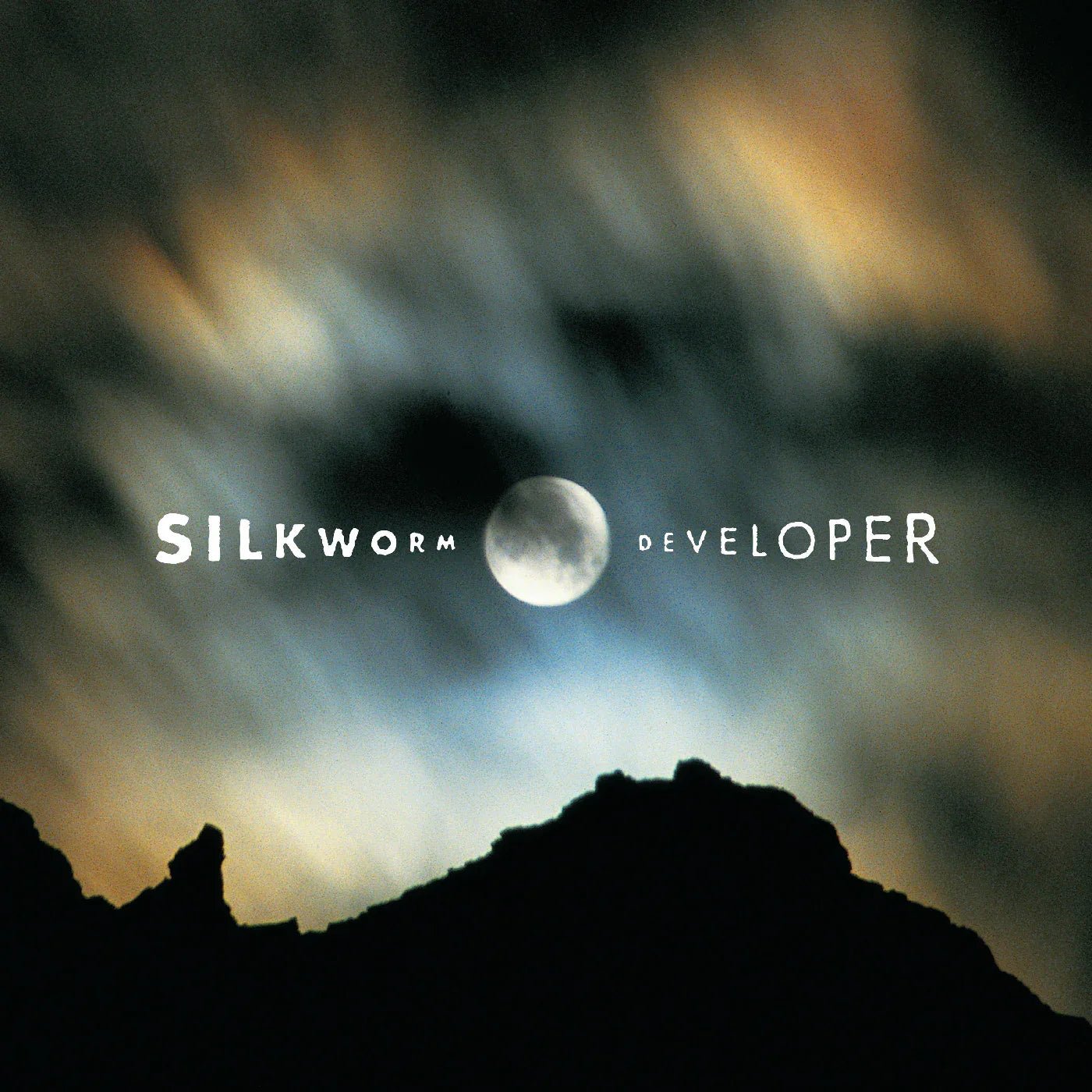 Silkworm - Developer (Deluxe Edition) (2 LP) - Joco Records