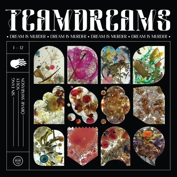 Sin Fang, Soley & Orvar Smarason - Dream Is Murder (2 LP) - Joco Records