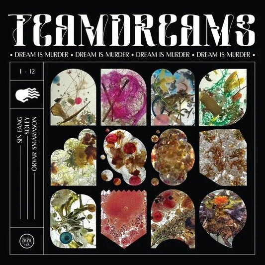 Sin Fang, Soley & Orvar Smarason - Dream Is Murder (2 LP) - Joco Records