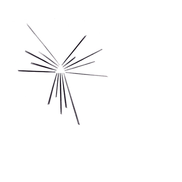 Six Organs of Admittance - Mariakapel (LP)