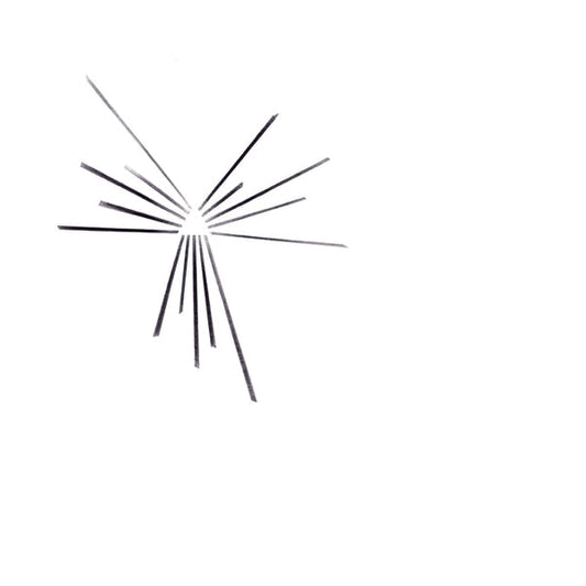 Six Organs of Admittance - Mariakapel (LP)