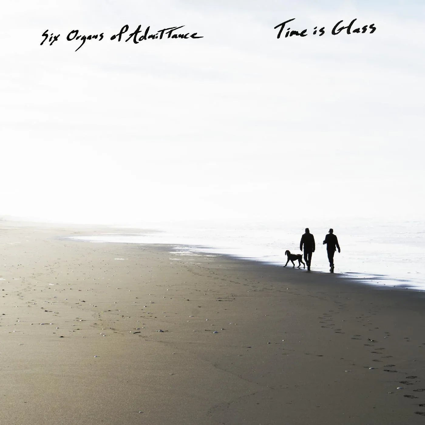 Six Organs Of Admittance - Time Is Glass (LP) - Joco Records