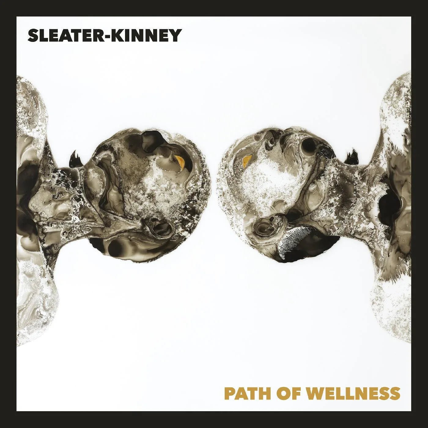 Sleater-Kinney - Path Of Wellness (Black Opaque Vinyl) (Vinyl Box Set) - Joco Records