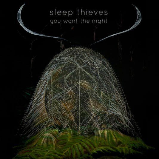 Sleep Thieves - You Want The Night (Vinyl) - Joco Records