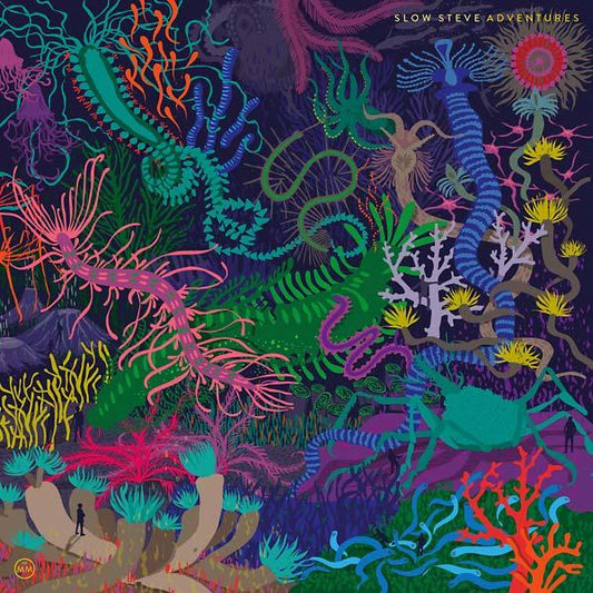 Slow Steve - Adventures (LP) - Joco Records