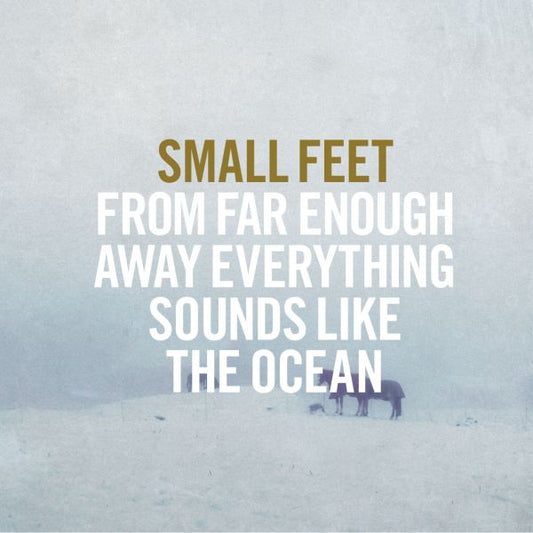 Small Feet - From Far Enough Away Everything Sounds Like The Ocean (Vinyl) - Joco Records