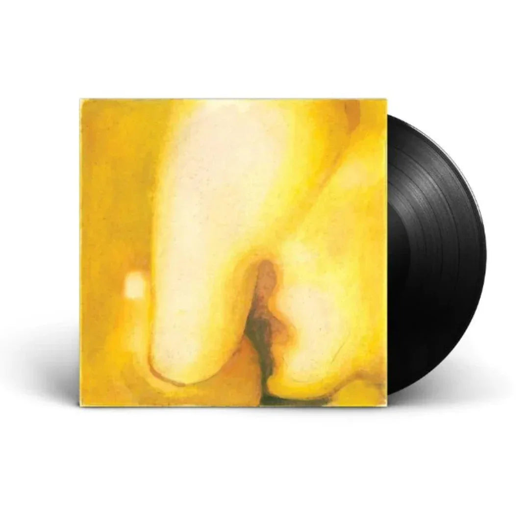 Smashing Pumpkins - Pisces Iscariot (Remastered, 180 Gram) (2 LP) - Joco Records