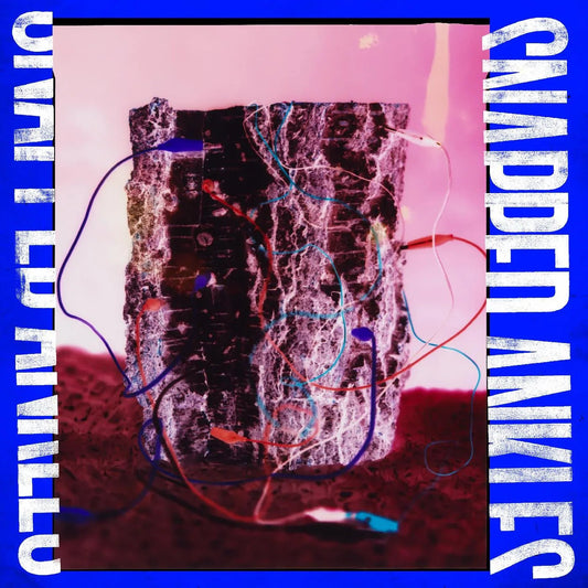 Snapped Ankles - Forest Of Your Problems (The Business Imp Edition) (LP) - Joco Records