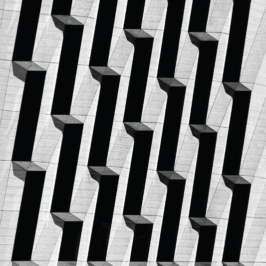 Snow Palms - Everything Ascending (12-Inch Vinyl EP) - Joco Records