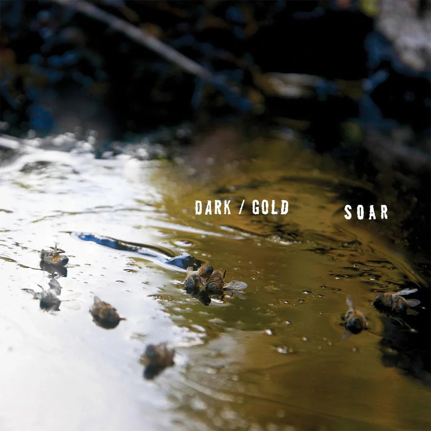 Soar - Dark / Gold (LP) - Joco Records