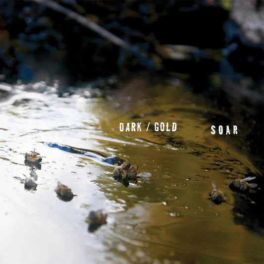 Soar - Dark / Gold (LP) - Joco Records
