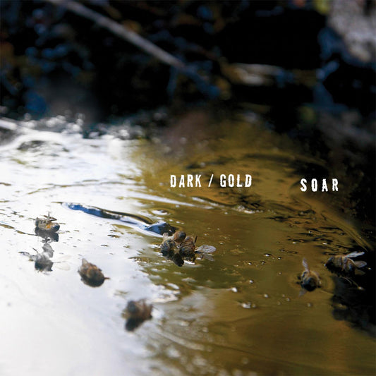 Soar - Dark / Gold (Vinyl) - Joco Records