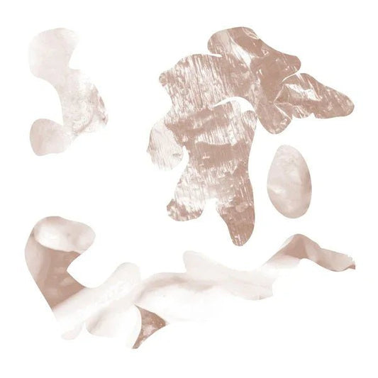 Soft Tissue - Hi Leaves (LP) - Joco Records