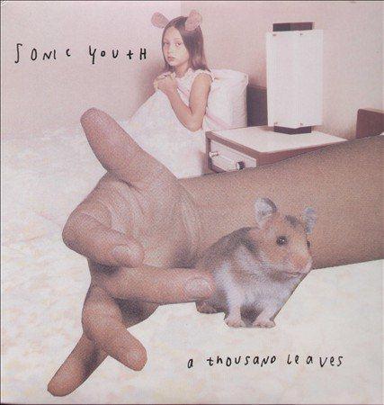 Sonic Youth - Thousand Leaves (2 LP) - Joco Records