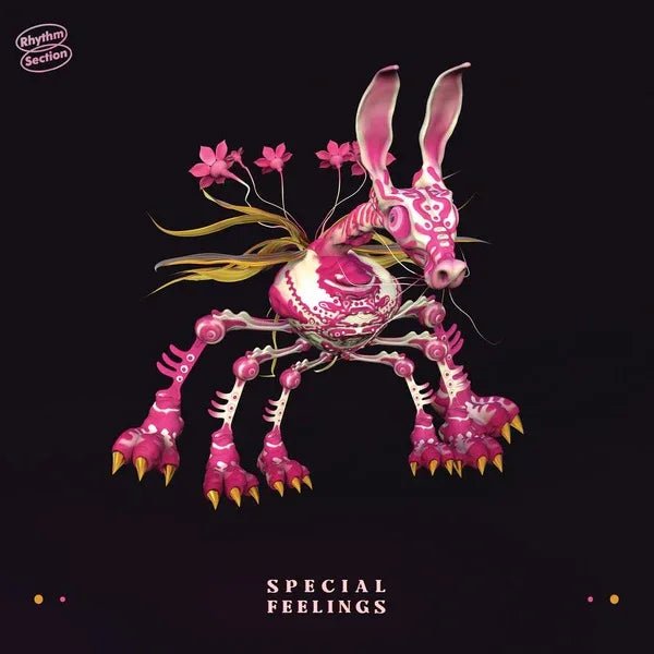 Special Feelings - Special Feelings (LP) - Joco Records
