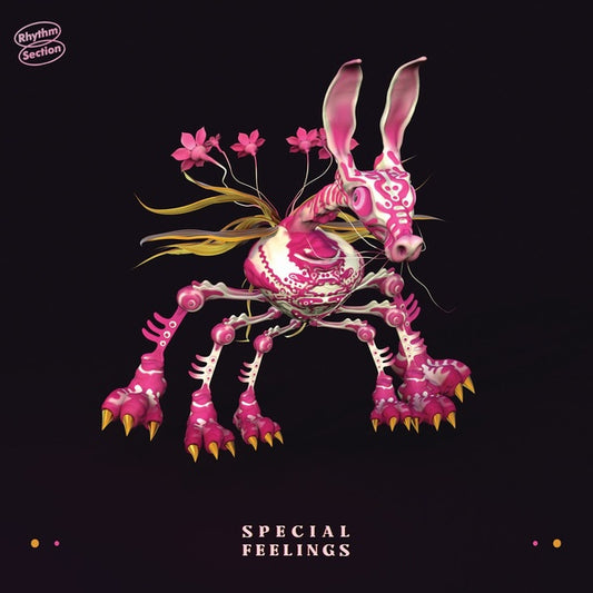 Special Feelings - Special Feelings (Vinyl)