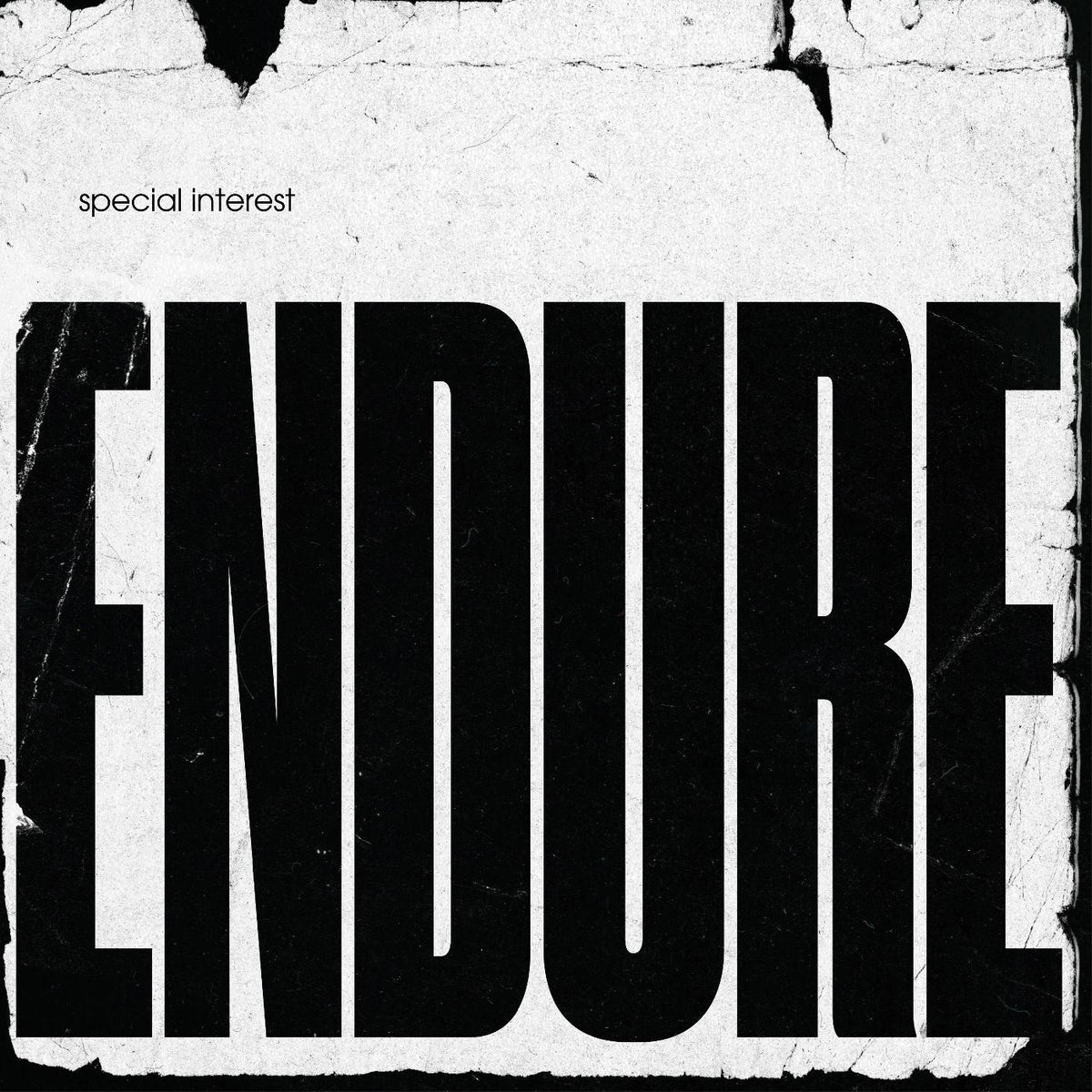 Special Interest - Endure (LP) - Joco Records