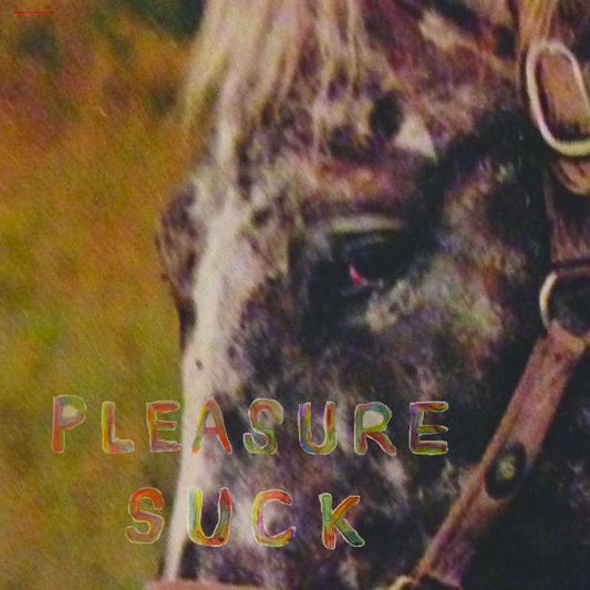 Spirit Of The Beehive - Pleasure Suck (Transparent Orange Vinyl) (LP) - Joco Records