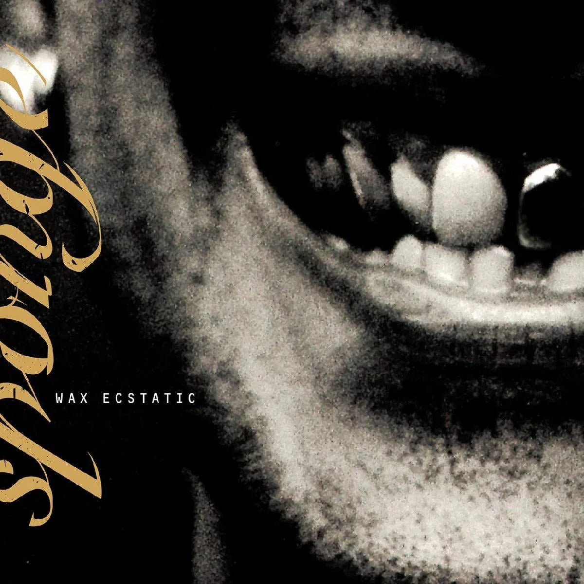 Sponge - Wax Ecstatic (Galaxy Beer Color Vinyl) (LP) - Joco Records