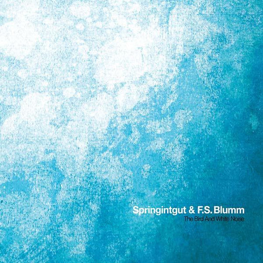 SPRINGINTGUT & F.S. BLUMM - The Bird and White Noise