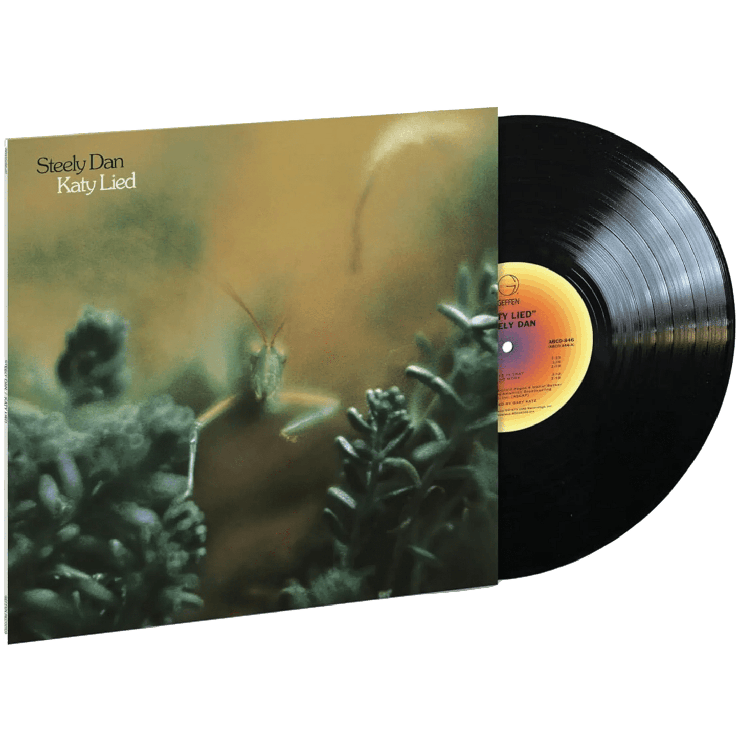 Steely Dan - Katy Lied (Remastered, 180 Gram) (LP) - Joco Records