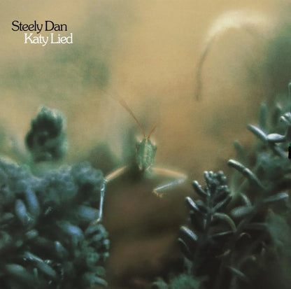 Steely Dan - Katy Lied (Remastered, 180 Gram) (LP) - Joco Records