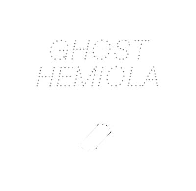 Stefan Goldmann - Ghost Hemiola (12 - Inch Vinyl) - Joco Records
