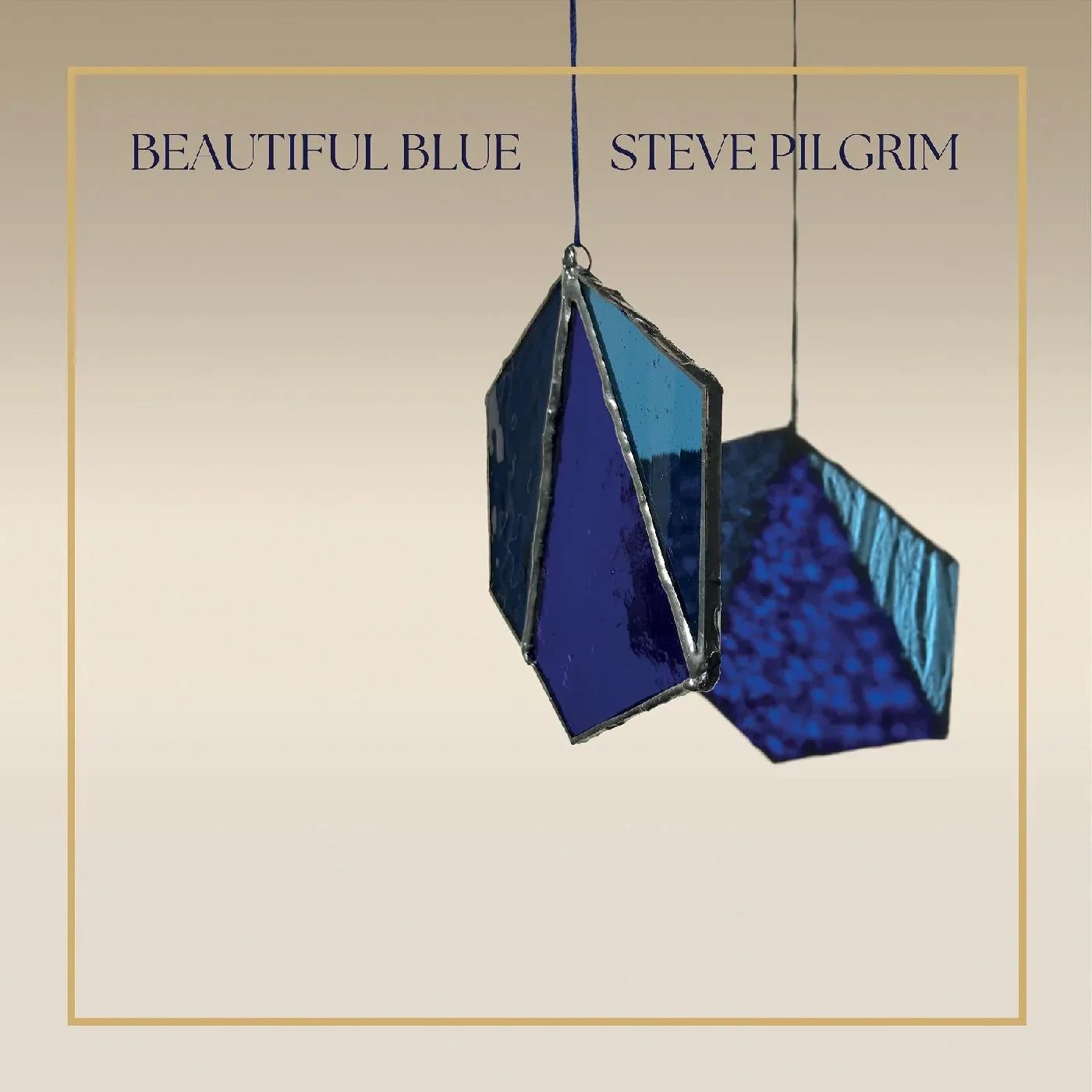 Steve Pilgrim - Beautiful Blue (Blue Vinyl) (LP) - Joco Records