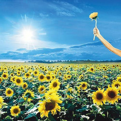 Stone Temple Pilots - Thank You (2 LP) - Joco Records
