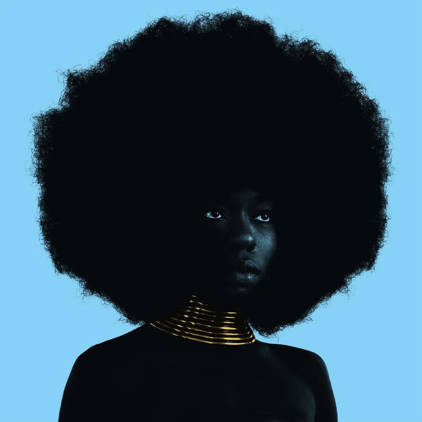 Sudan Archives - Sink (LP) - Joco Records