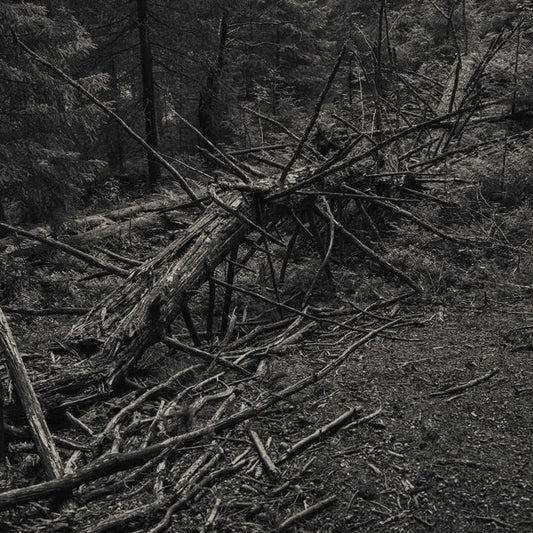 Sult - Always I Gnaw (LP) - Joco Records