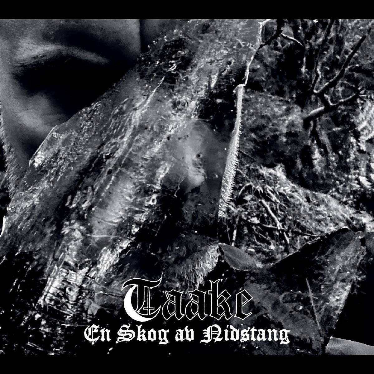 Taake - En Skog Av Nidstang (LP) - Joco Records