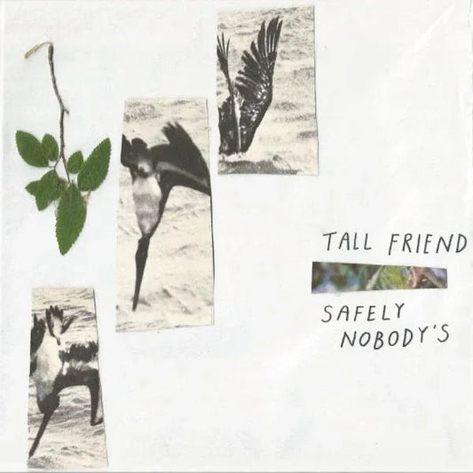 Tall Friend - Safely Nobody'S (LP) - Joco Records