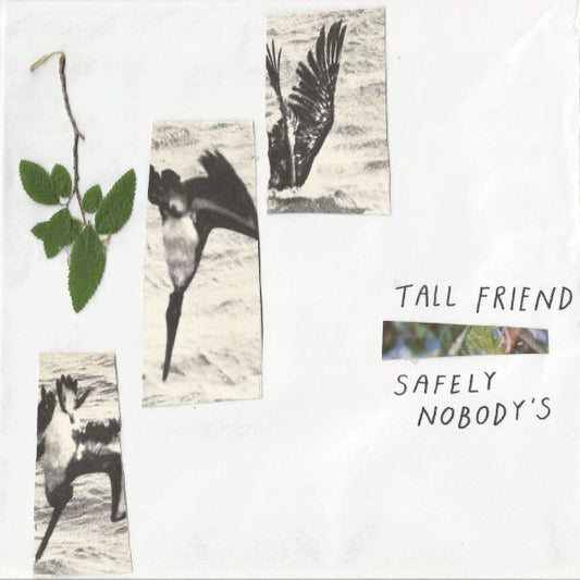 Tall Friend - Safely Nobody's (LP)