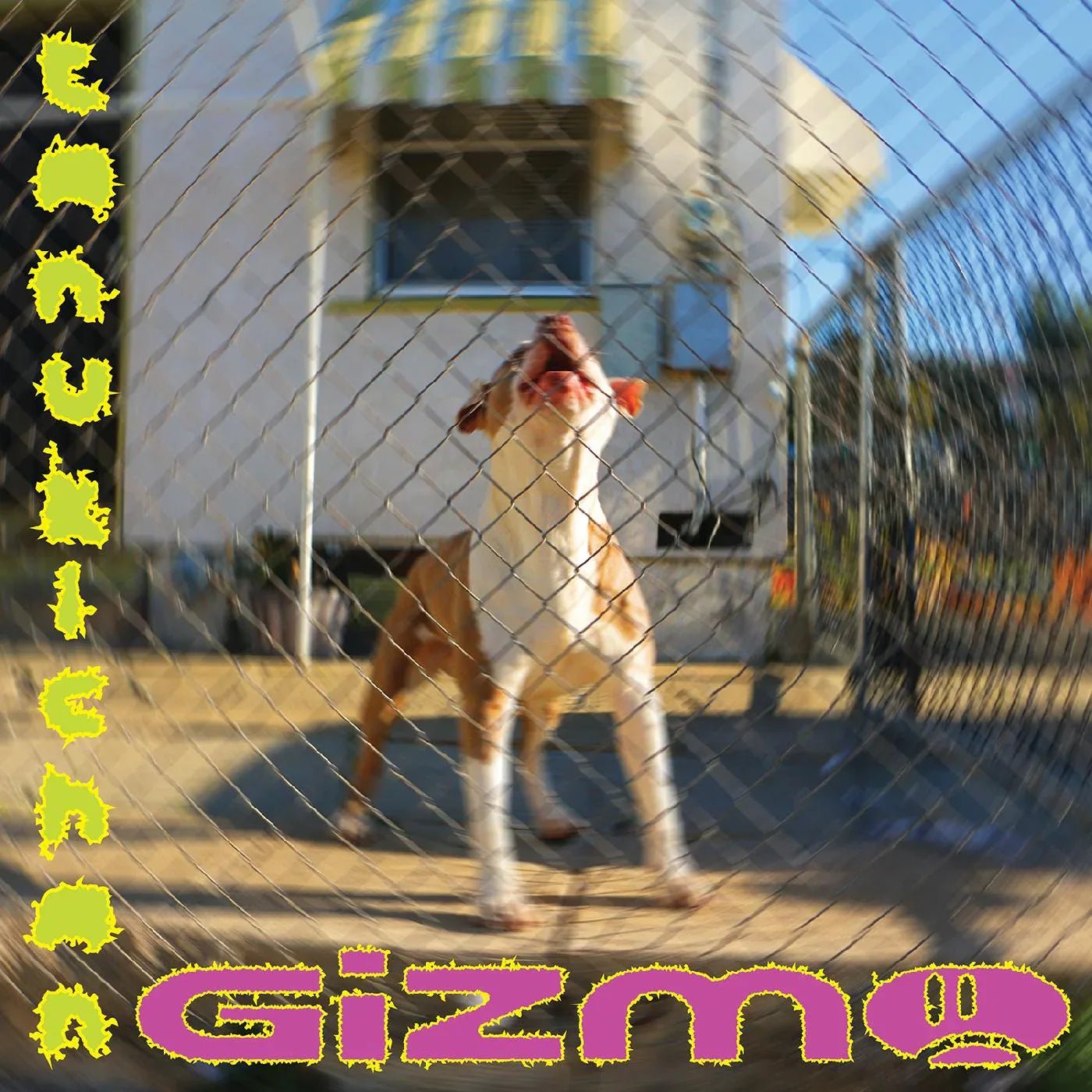 Tanukichan - Gizmo (LP) - Joco Records