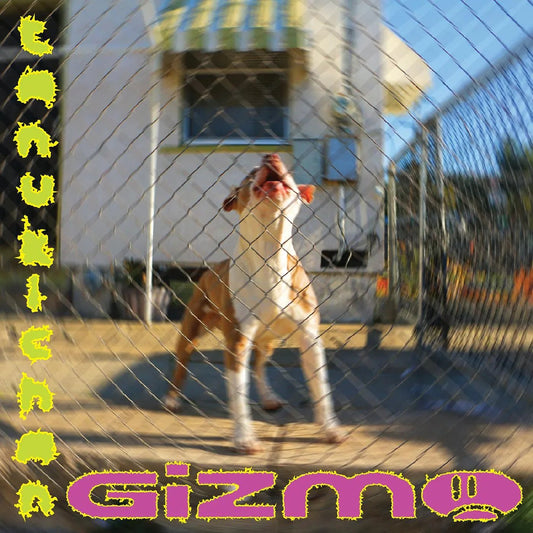 Tanukichan - Gizmo (LP) - Joco Records