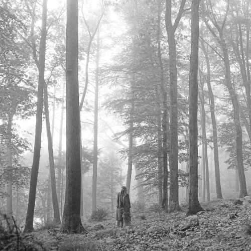 Taylor Swift - Folklore ("In The Trees" Edition) (2 LP) - Joco Records