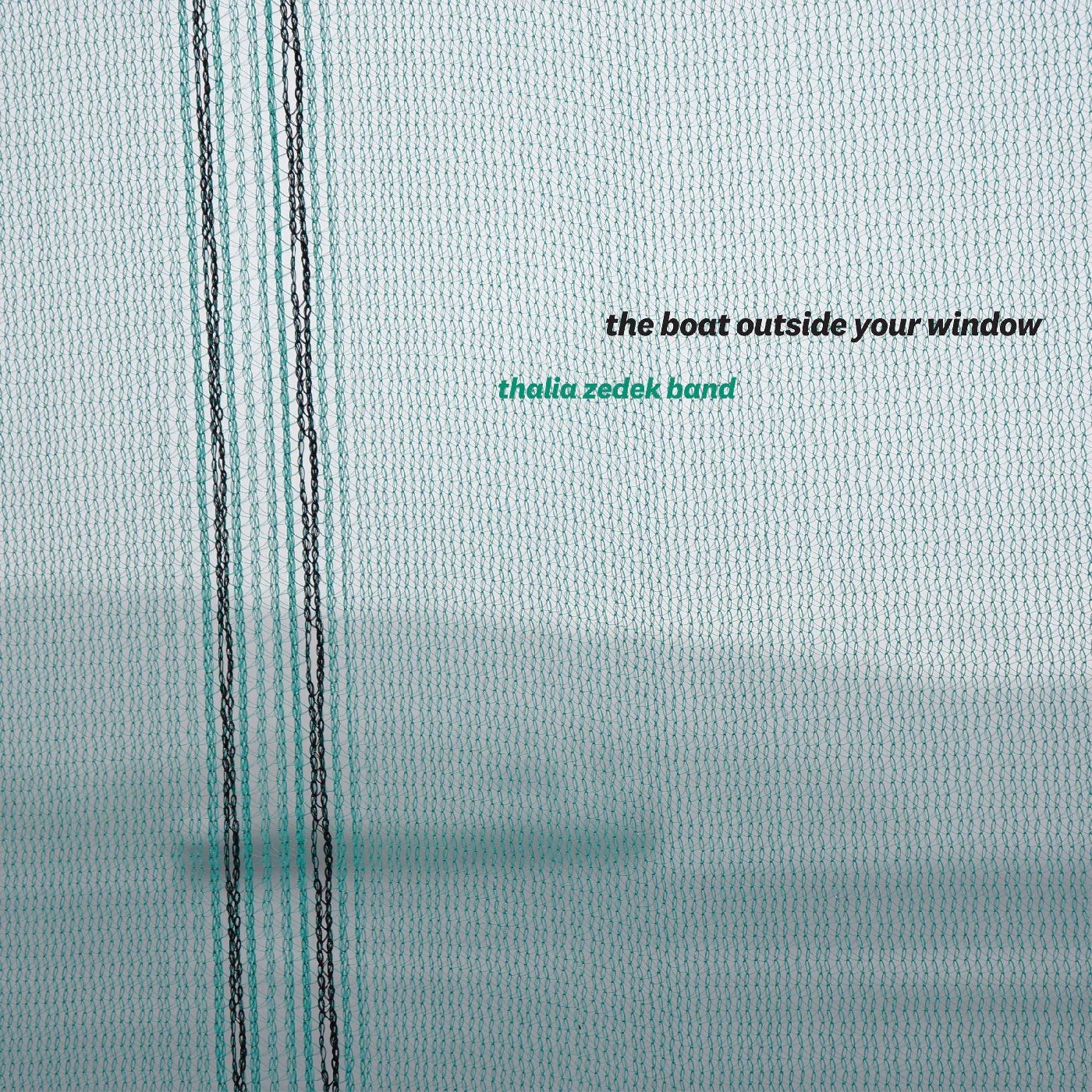Thalia Band Zedek - The Boat Outside Your Window (LP) - Joco Records