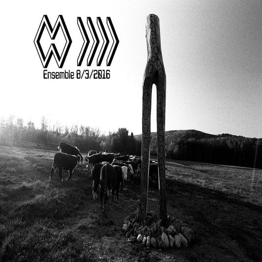 The Band Whose Name Is A Symbol - Ensemble 8/3/2016 (LP) - Joco Records