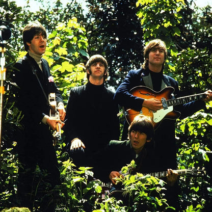 The Beatles - 1 (Limited Edition, Remastered, 180 Gram) (2 LP) - Joco Records